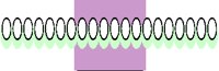EGGS.PCT