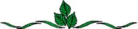 LEAFS.PCT