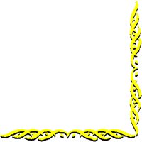 LEFTCORN.PCT