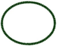 STAROVAL.PCT