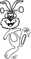 BUNNY.PCT