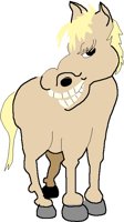 EVILPONY.PCT