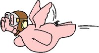 FLYINPIG.PCT