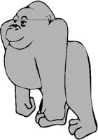 GORILLA2.PCT