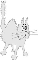 KITTY.PCT