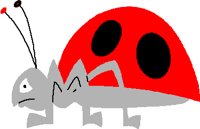 LADYBUG2.PCT