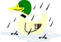 MALLARD.PCT