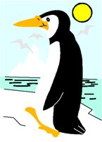 PENGUIN.PCT