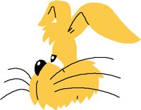 RABBIT.PCT