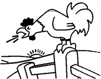 ROOSTER.PCT