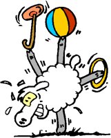 SHEEP.PCT