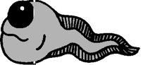 TADPOLE.PCT