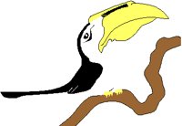 TOUCAN.PCT