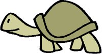 TURTLE.PCT