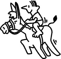 BURRO.PCT