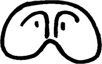 GOGGLES.PCT