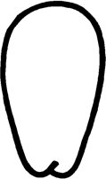LONGFACE.PCT