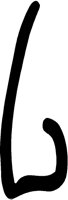NOSE5.PCT