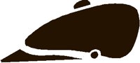 RIDNGCAP.PCT