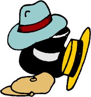 CHAPEAUS.PCT