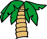 PALMTRE2.PCT