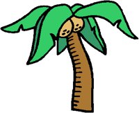 PALMTREE.PCT