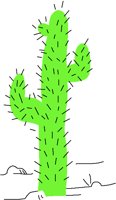 SAGUARO.PCT