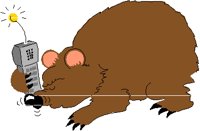 BEARMKT.PCT
