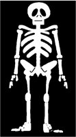 SKELETON.PCT