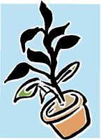 PLANT.PCT