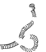 ANCHOR2.PCT