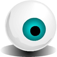 EYEBALL.PCT