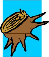 STUMP.PCT