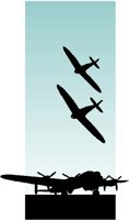 B17.PCT