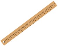 RULER.PCT