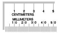 RULER1.PCT