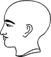 HEAD.PCT