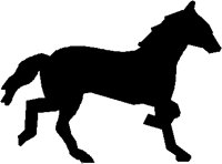 HORSE.PCT