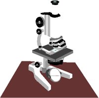 MICROSCP.PCT