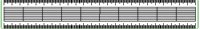 RULER.PCT