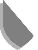 SHIELD16.PCT