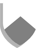 SHIELD18.PCT
