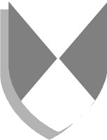 SHIELD19.PCT