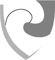 SHIELD32.PCT
