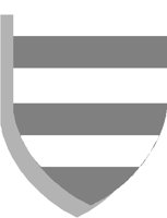 SHIELD33.PCT