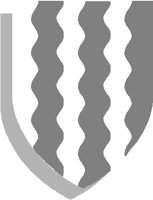 SHIELD39.PCT