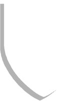 SHIELD9.PCT