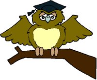WISEOWL.PCT