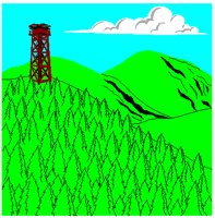 FORESTRY.PCT