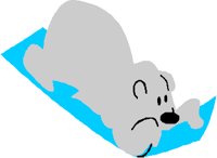 BEARSLID.PCT